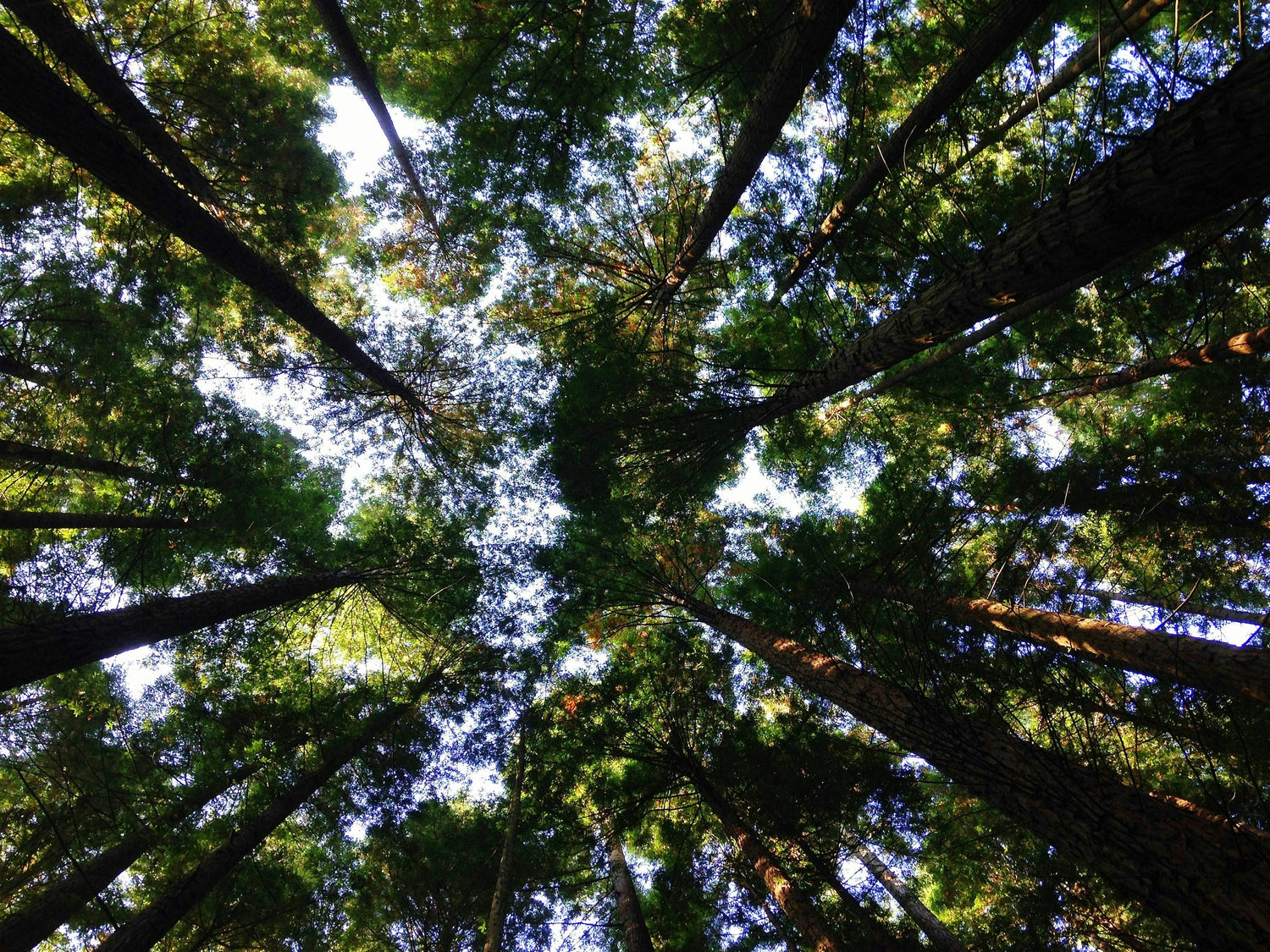 Journée Mondiale du Climat : comprendre, choisir mieux, agir durable